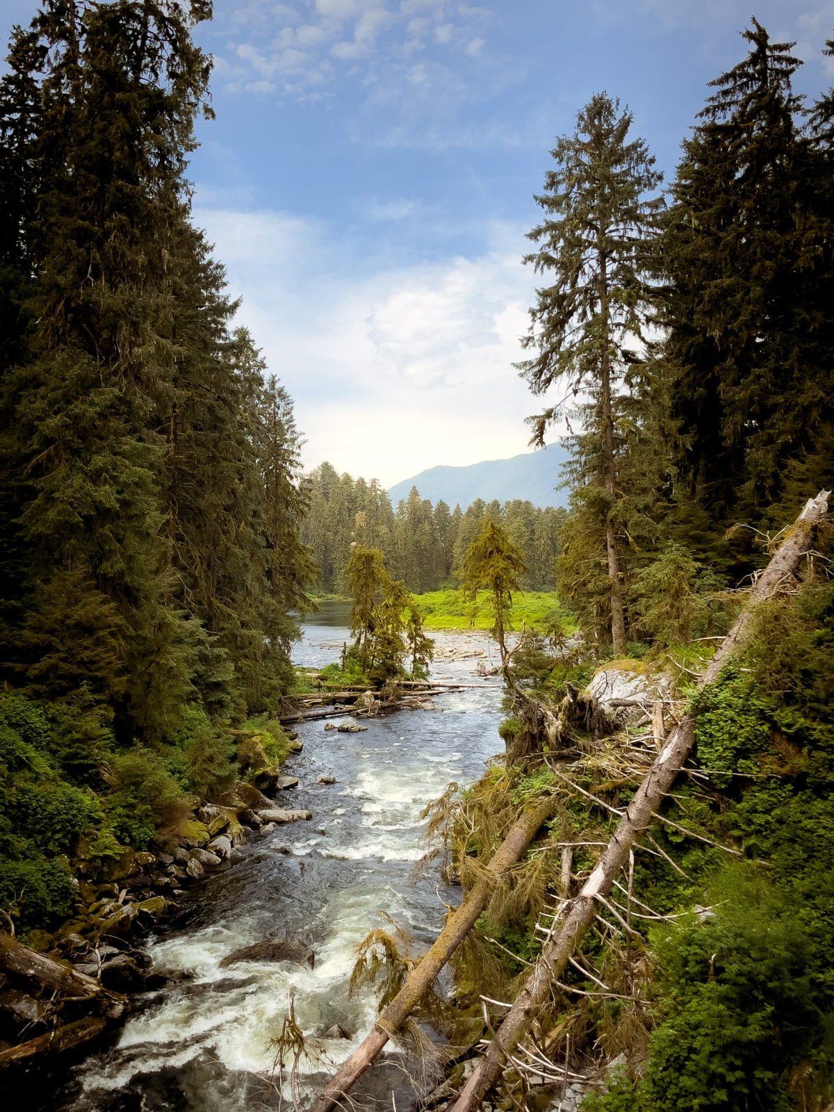 Glance Over Anan Creek