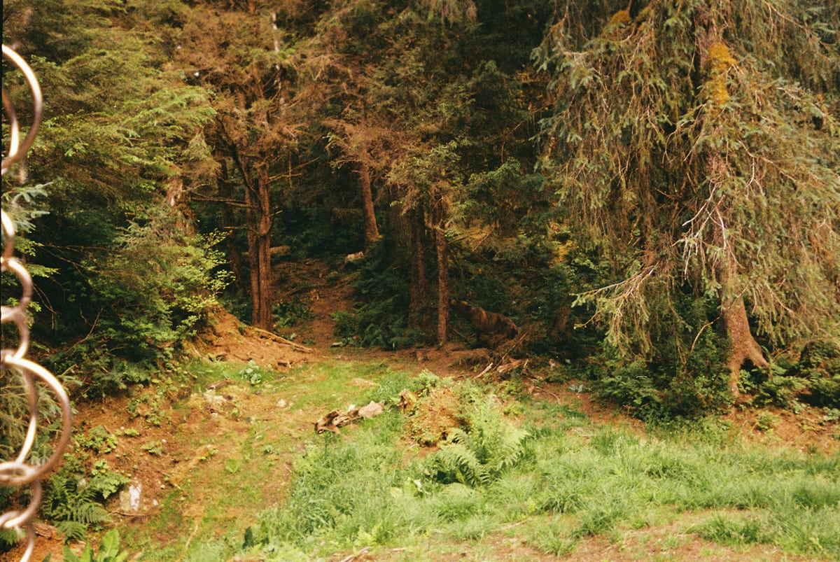 Alaska · plate 6