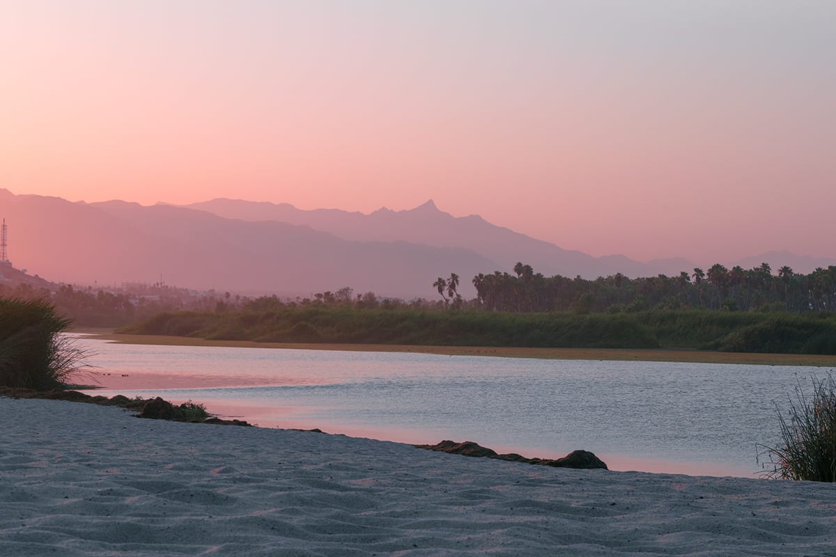 Los Cabos 2016 · Photo Recovery Project · plate 6