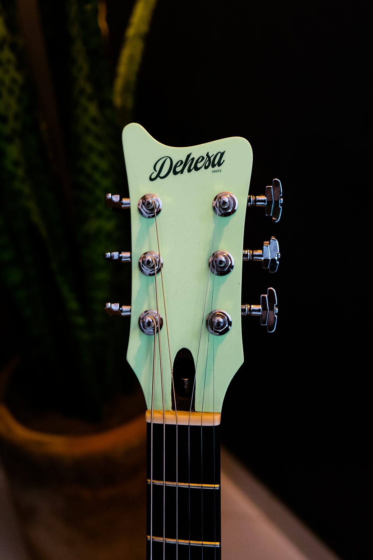 Electric Guitar MK I /MMXX/ Dehesa · plate 6