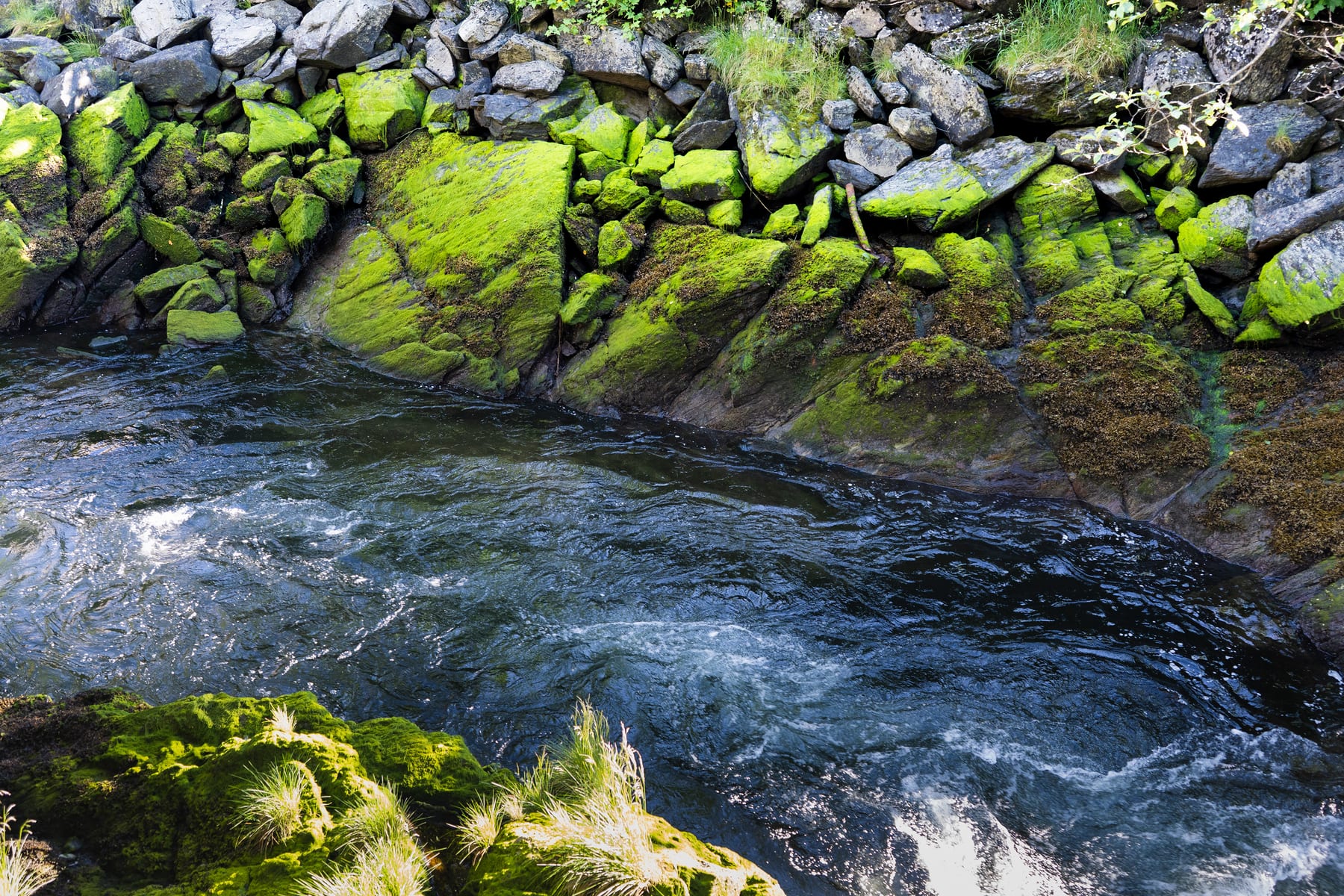 Once Upon a Time in Ketchikan · plate 8