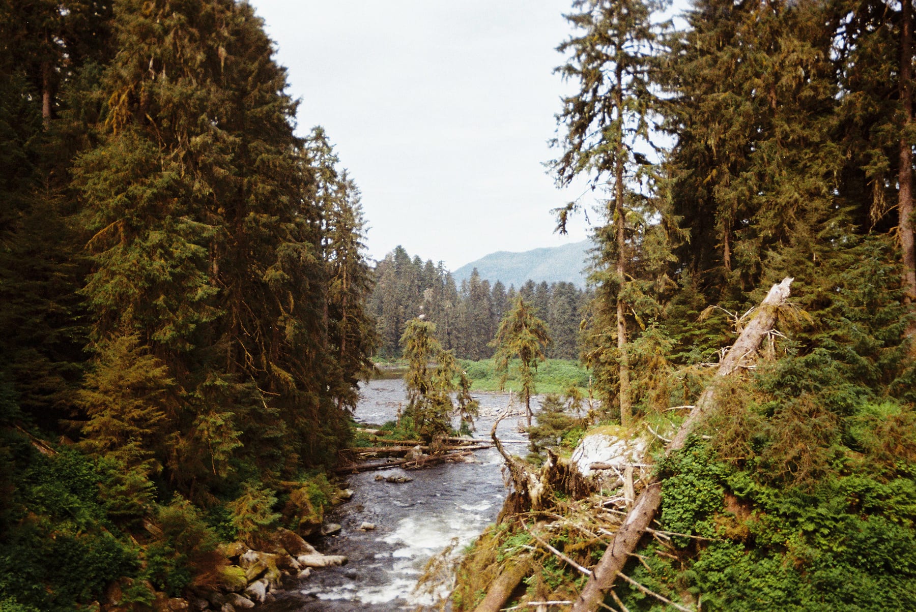 Alaska · plate 13