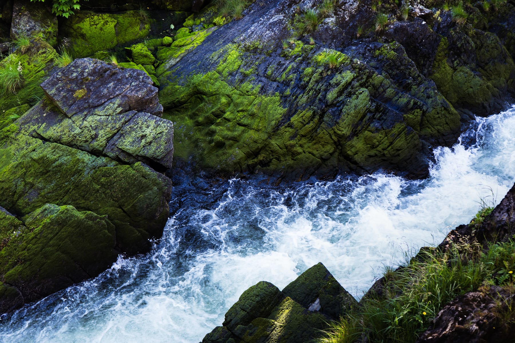 Once Upon a Time in Ketchikan · plate 16