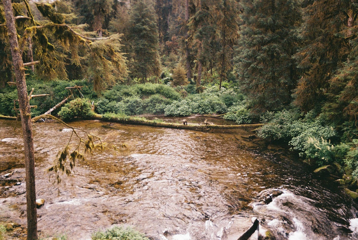 Alaska · plate 15