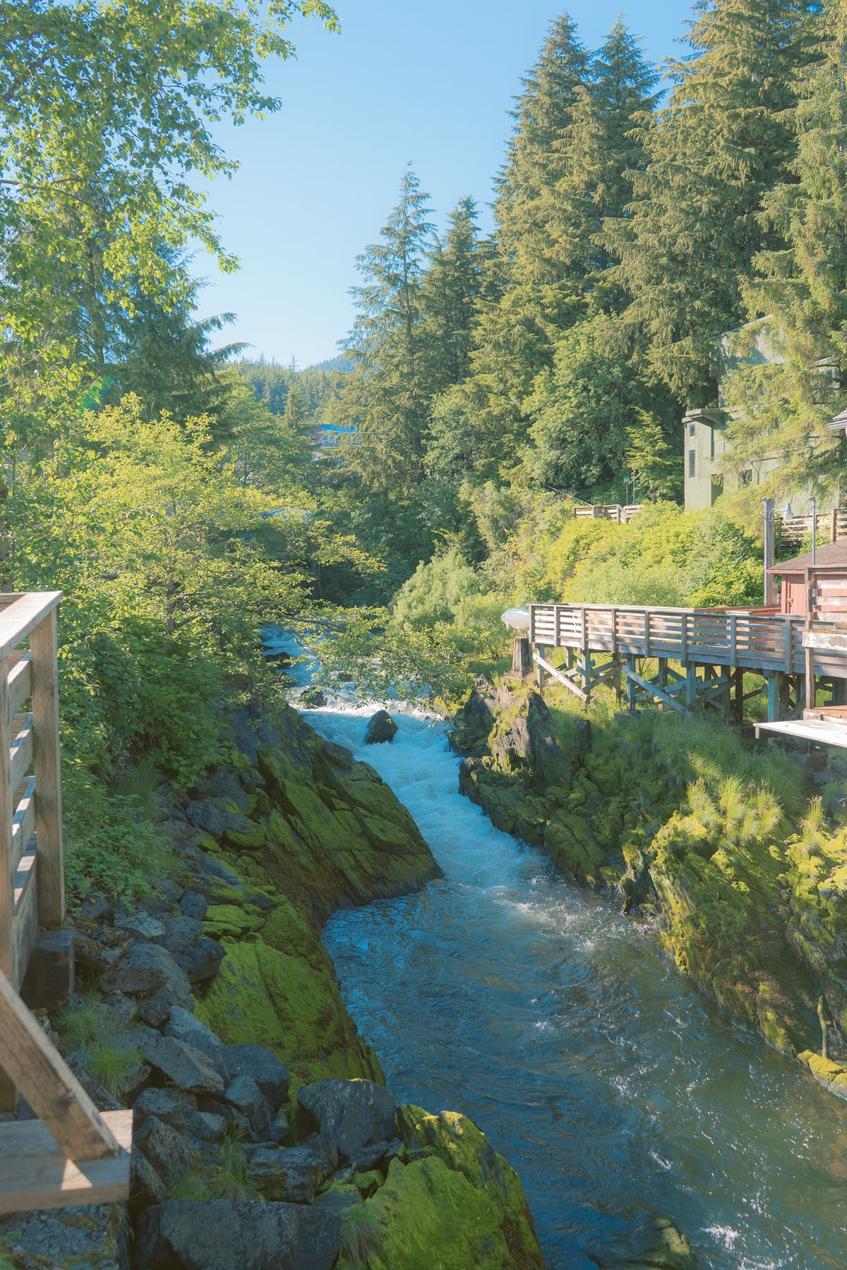 Once Upon a Time in Ketchikan · plate 18