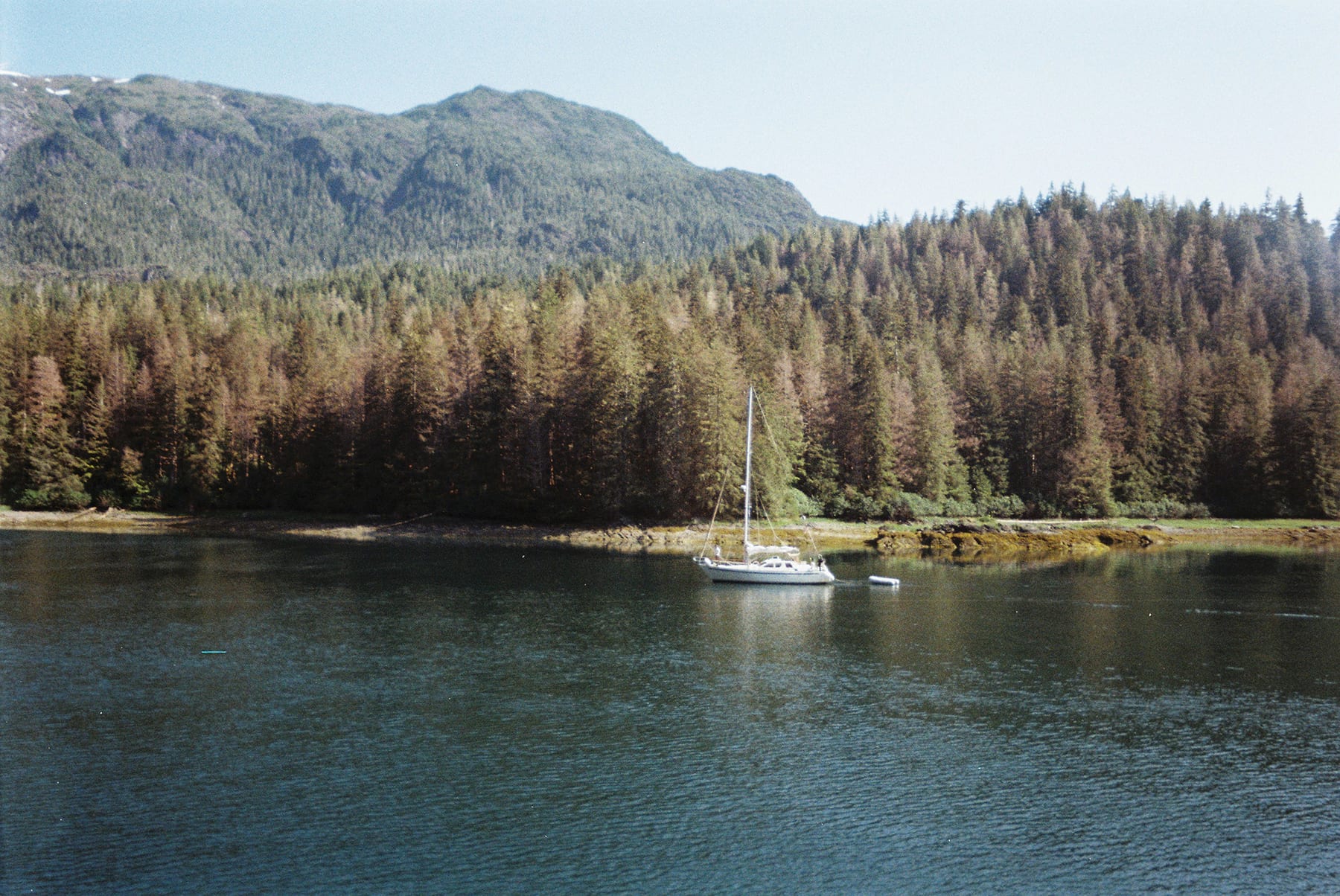 Alaska · plate 20