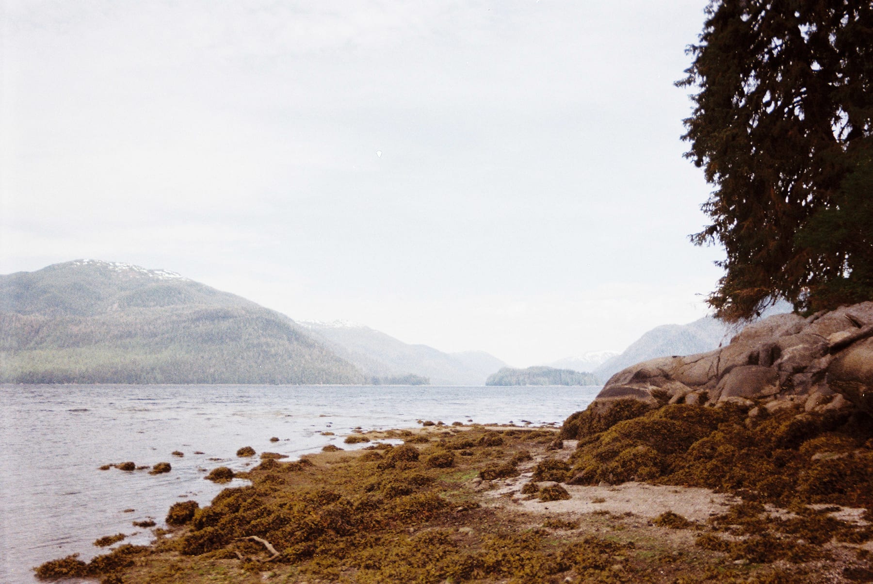 Alaska · plate 22
