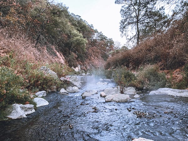 Río Caliente · II · plate 23