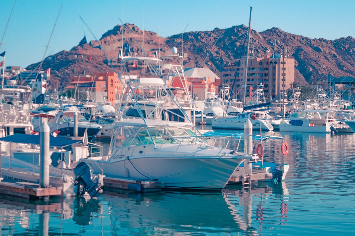 Los Cabos 2016 · Photo Recovery Project · plate 31