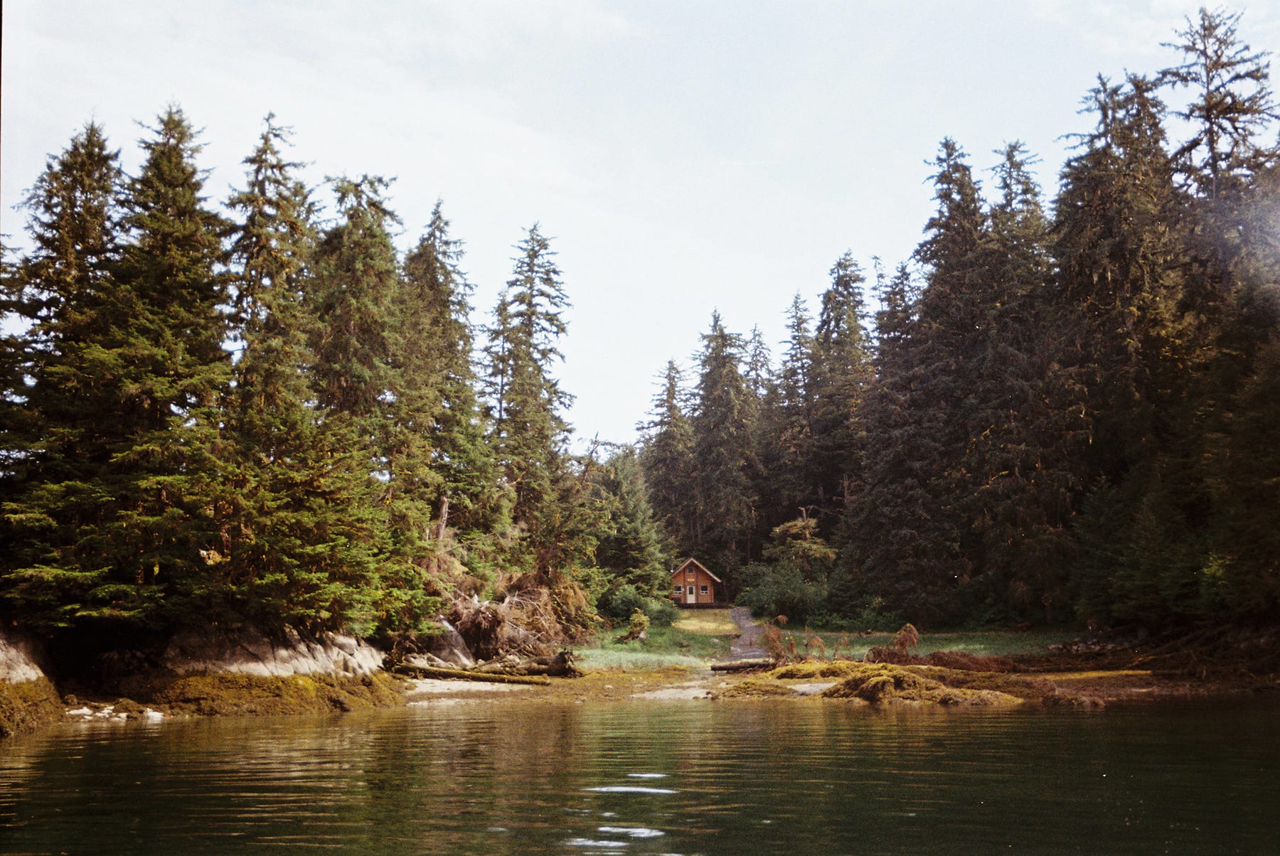 Alaska · plate 31